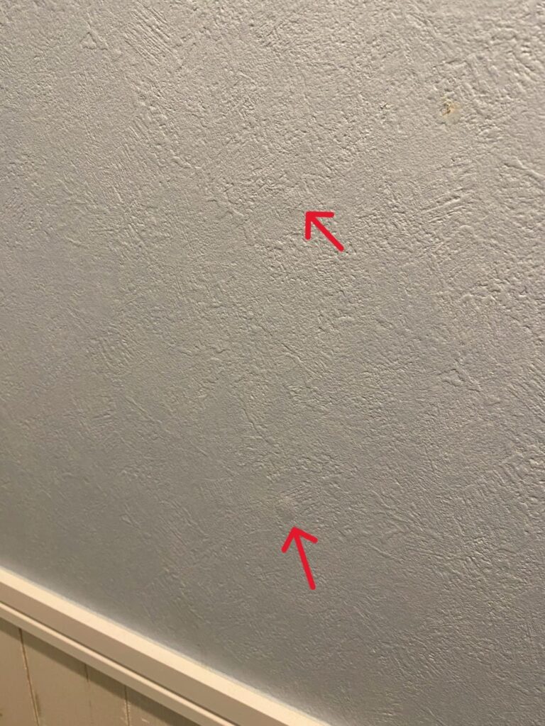 千葉県船橋市＿トイレ1